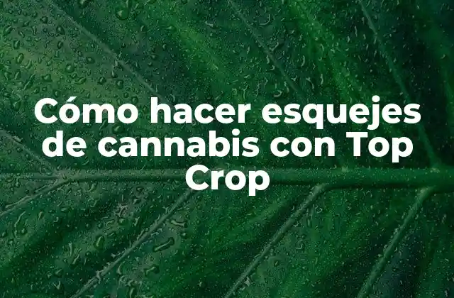 Cómo Hacer Esquejes de Cannabis con Top Crop
