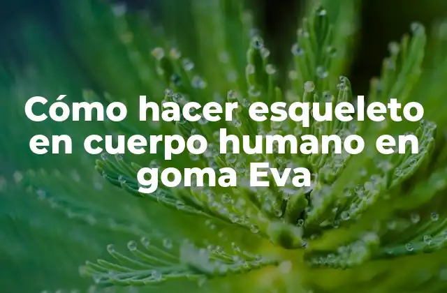 Cómo Hacer Esqueleto en Cuerpo Humano en Goma Eva