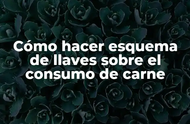 Cómo Hacer Esquema de Llaves sobre el Consumo de Carne