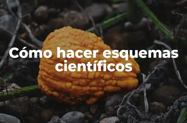 Cómo Hacer Esquemas Científicos