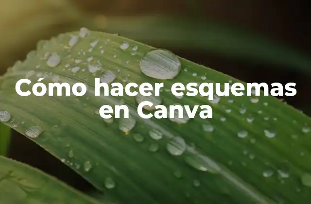 Cómo Hacer Esquemas en Canva