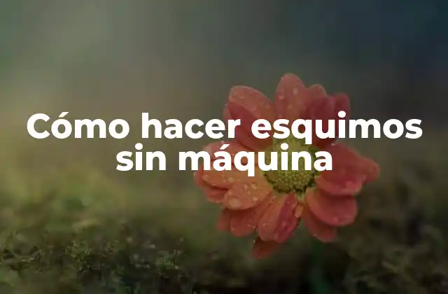 Cómo Hacer Esquimos sin Máquina