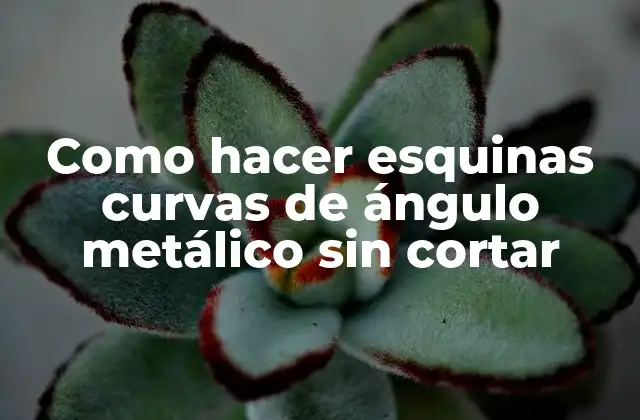 Como Hacer Esquinas Curvas de Ángulo Metálico sin Cortar