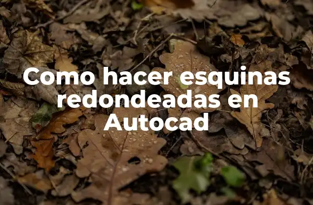 Como Hacer Esquinas Redondeadas en Autocad