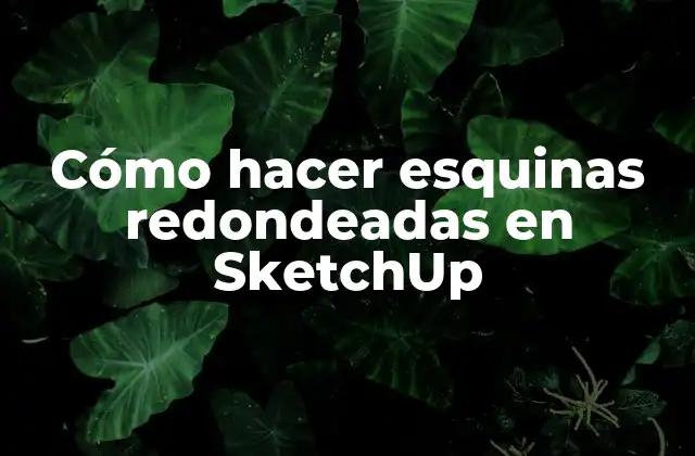 Cómo Hacer Esquinas Redondeadas en Sketchup
