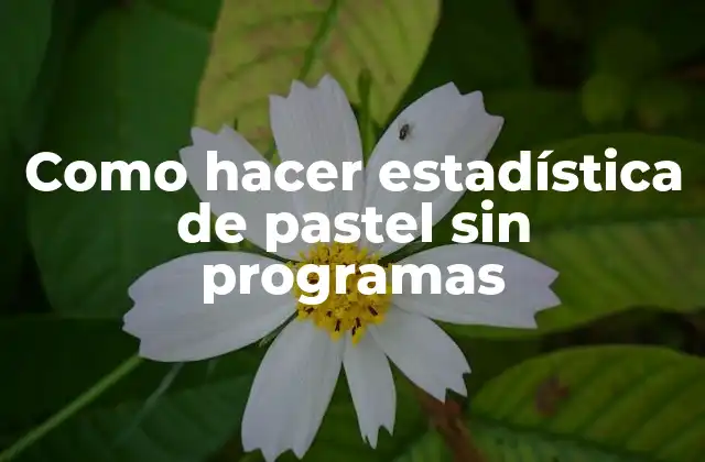 Como Hacer Estadística de Pastel sin Programas