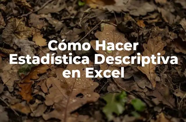 Cómo Hacer Estadística Descriptiva en Excel