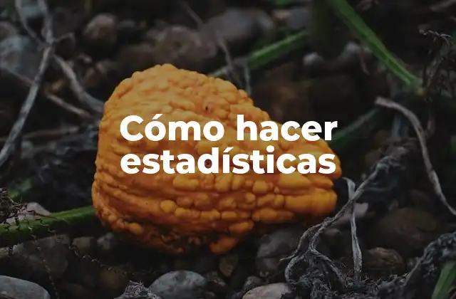 Cómo Hacer Estadísticas 2 Cómo hacer estadísticas