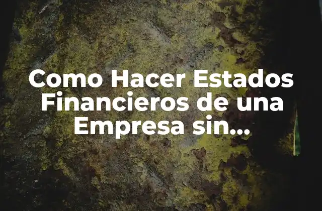 Como Hacer Estados Financieros de una Empresa sin Movimiento