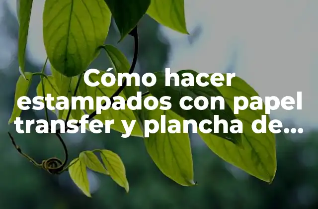 Cómo Hacer Estampados con Papel Transfer y Plancha de Estampar