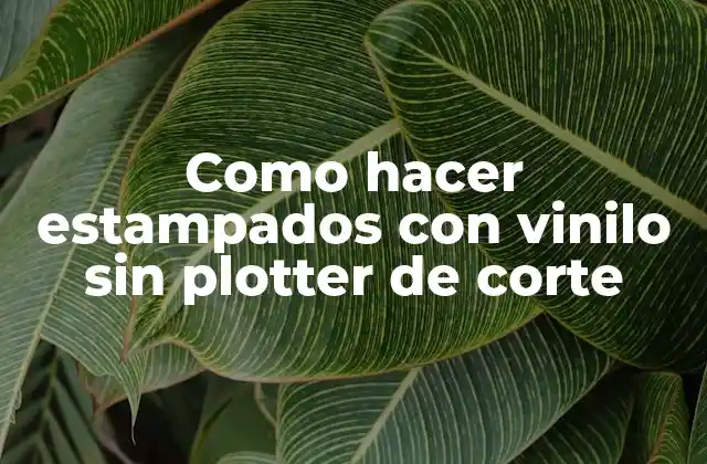 Como Hacer Estampados con Vinilo sin Plotter de Corte