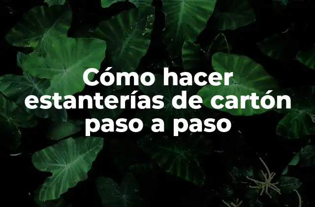 ¿Qué son las estanterías de cartón y para qué sirven?