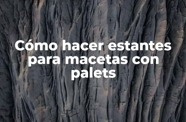 Cómo Hacer Estantes para Macetas con Palets