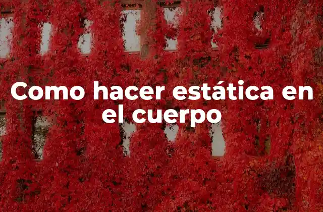 ¿Qué es la estática en el cuerpo?