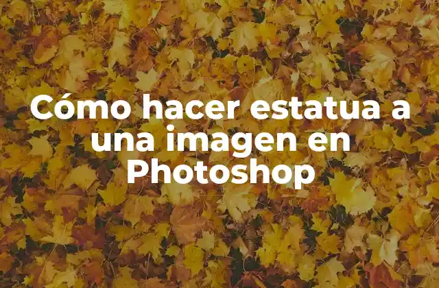 Cómo Hacer Estatua a una Imagen en Photoshop
