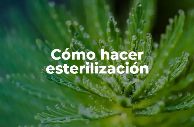 Cómo Hacer Esterilización