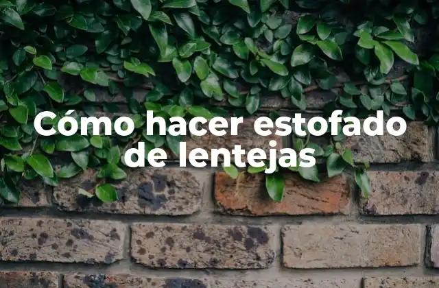 Cómo Hacer Estofado de Lentejas