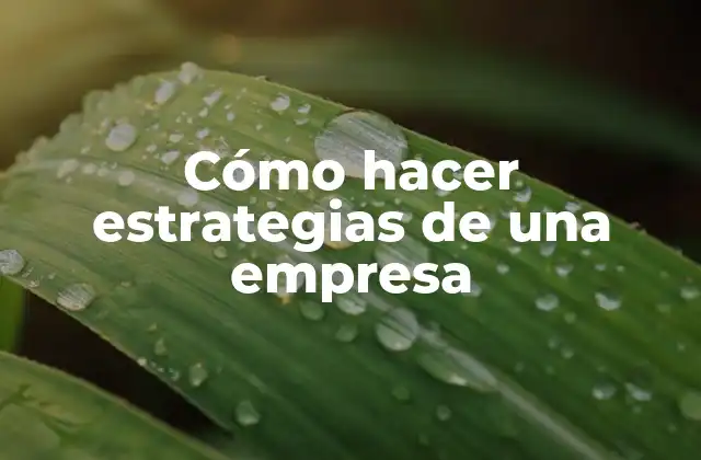 Cómo Hacer Estrategias de una Empresa