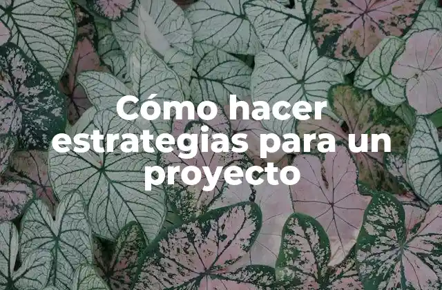 Cómo Hacer Estrategias para un Proyecto