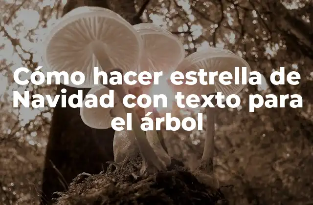 Cómo Hacer Estrella de Navidad con Texto para el Árbol