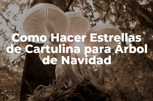 Como Hacer Estrellas de Cartulina para Árbol de Navidad