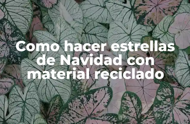 Como Hacer Estrellas de Navidad con Material Reciclado