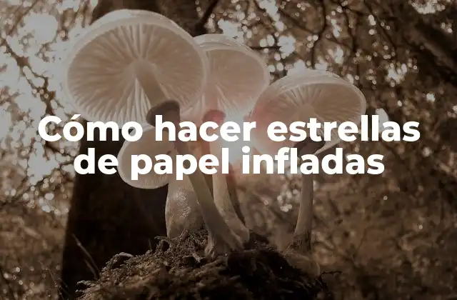 Cómo Hacer Estrellas de Papel Infladas