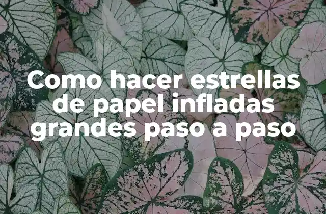Como Hacer Estrellas de Papel Infladas Grandes Paso a Paso