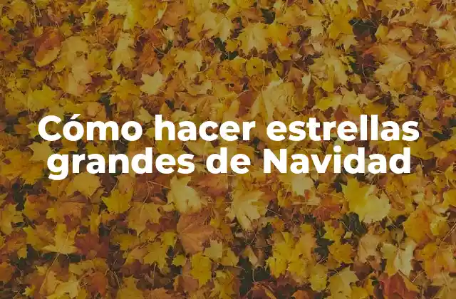 Cómo Hacer Estrellas Grandes de Navidad