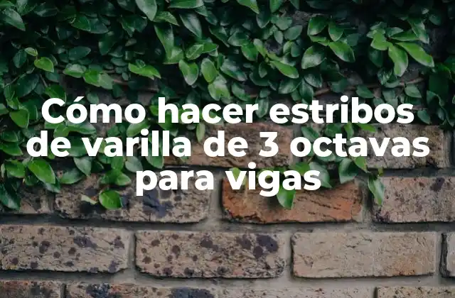 Cómo Hacer Estribos de Varilla de 3 Octavas para Vigas