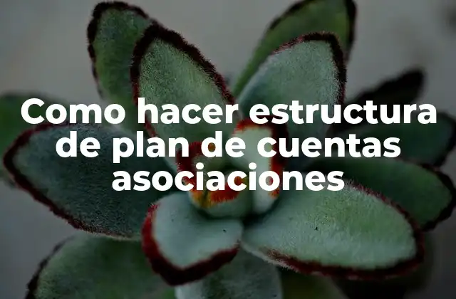 Como Hacer Estructura de Plan de Cuentas Asociaciones