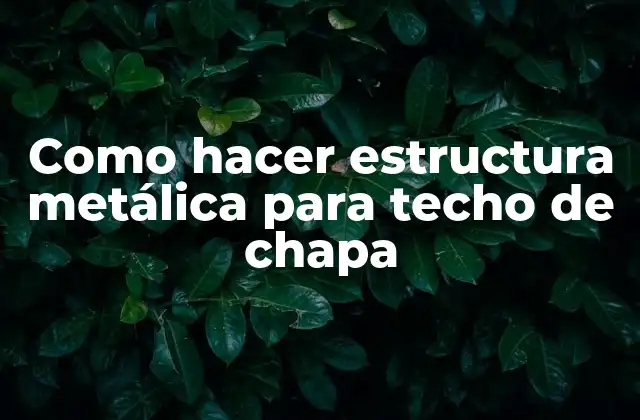 Como Hacer Estructura Metálica para Techo de Chapa
