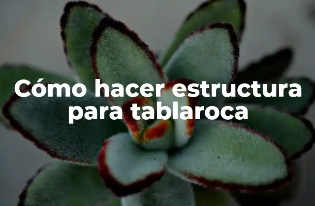 Cómo Hacer Estructura para Tablaroca