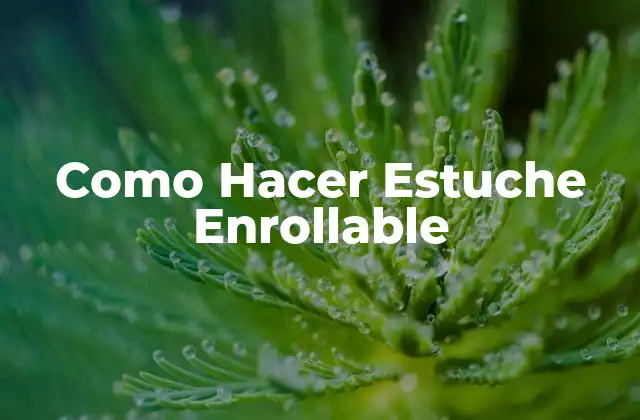Como Hacer Estuche Enrollable
