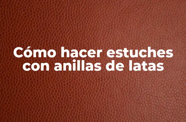 Cómo Hacer Estuches con Anillas de Latas