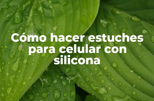 Cómo hacer estuches para celular con silicona