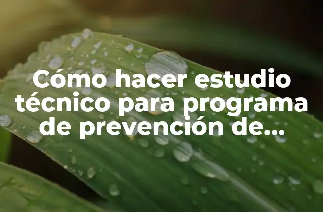 Cómo Hacer Estudio Técnico para Programa de Prevención de Riesgos 2 ¿Qué es un estudio técnico para un programa de prevención de riesgos?