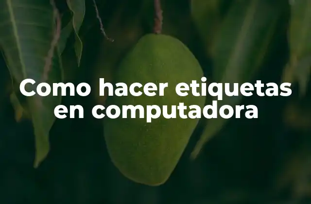 Como Hacer Etiquetas en Computadora