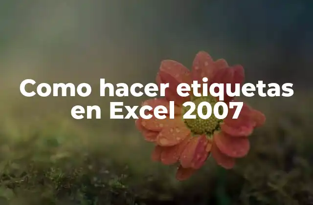 Como Hacer Etiquetas en Excel 2007