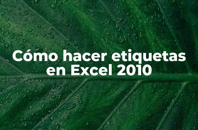 Cómo Hacer Etiquetas en Excel 2010