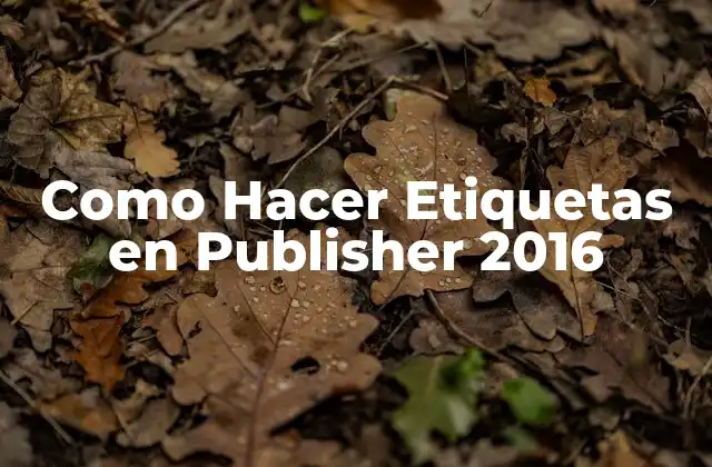 Como Hacer Etiquetas en Publisher 2016