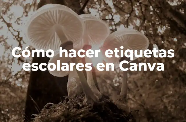 Cómo Hacer Etiquetas Escolares en Canva
