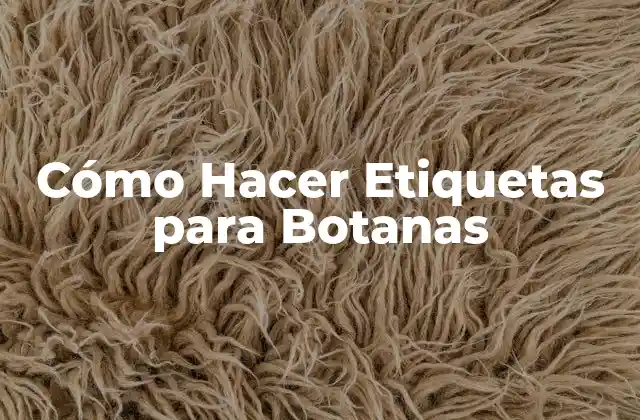 ¿Qué son las Etiquetas para Botanas?