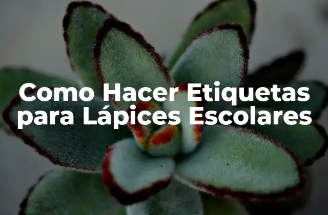 Como Hacer Etiquetas para Lápices Escolares