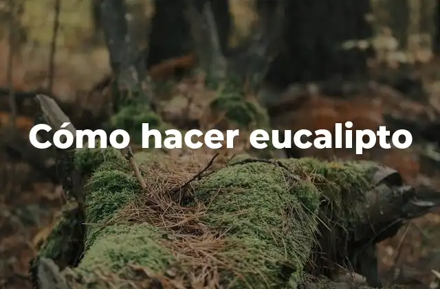 Cómo Hacer Eucalipto