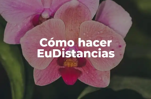 Cómo Hacer Eudistancias 2 ¿Qué son las EuDistancias?