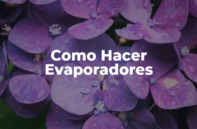 Como Hacer Evaporadores 2 ¿Qué es un Evaporador y para Qué Sirve?