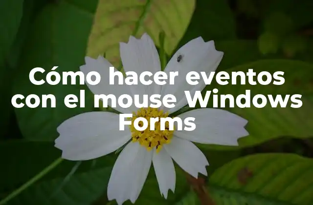 Cómo Hacer Eventos con el Mouse Windows Forms 2 Eventos con el mouse en Windows Forms