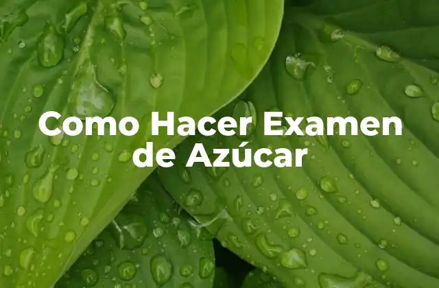 Como Hacer Examen de Azúcar