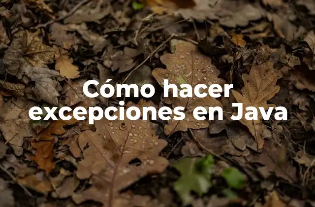 Cómo Hacer Excepciones en Java